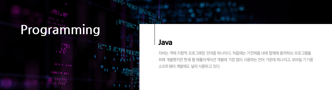 JAVA Programming